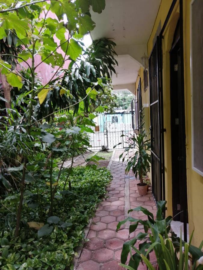 Apartamento Flamingo